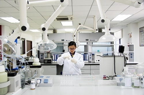 國家企業(yè)技術(shù)中心2021年評價結(jié)果揭曉 徐工高居行業(yè)榜首 彰顯創(chuàng)新硬實(shí)力